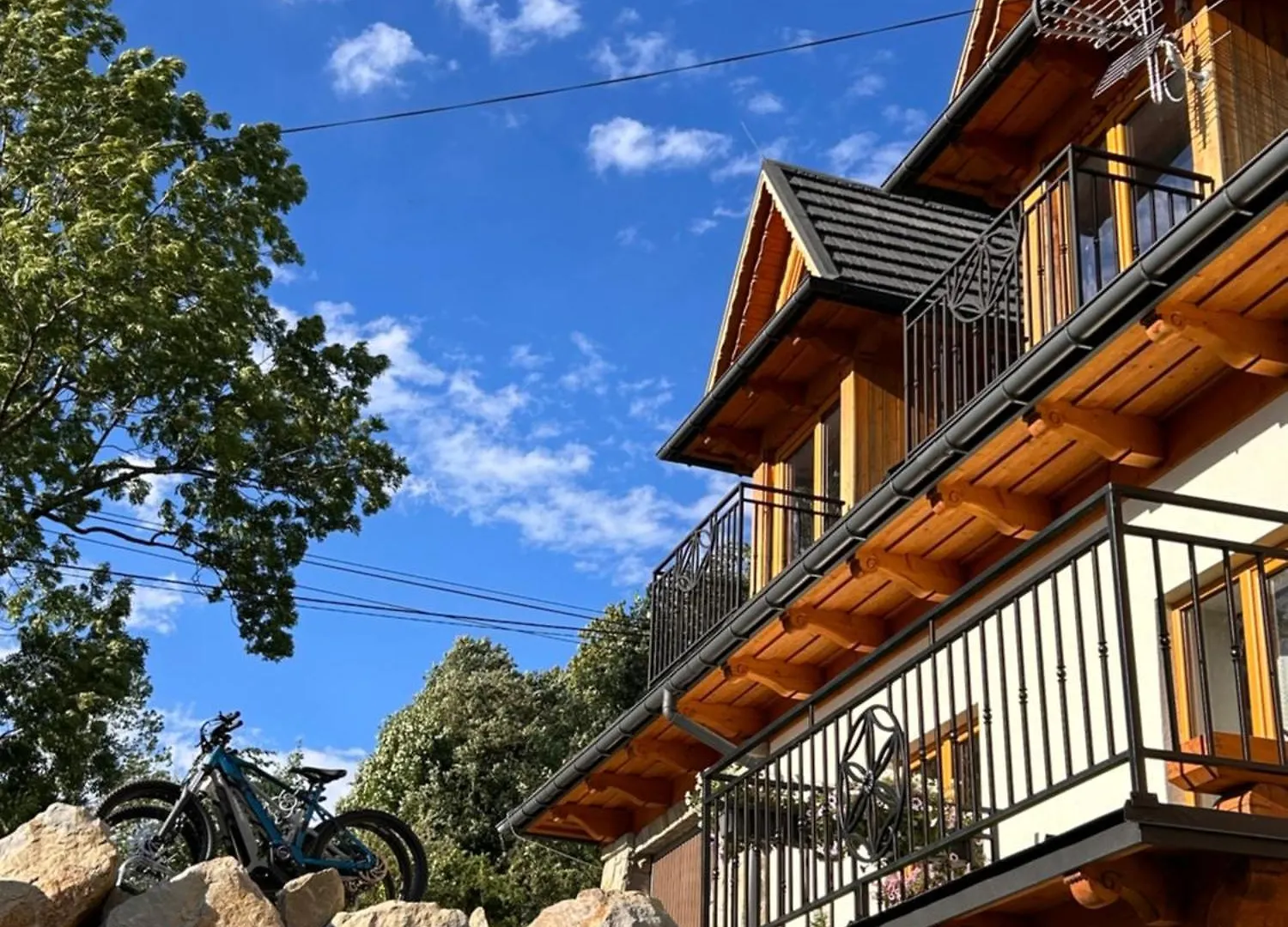 Apartment Apartamenty Willa Olsza Wood House & Mountain View & Sauna Poland