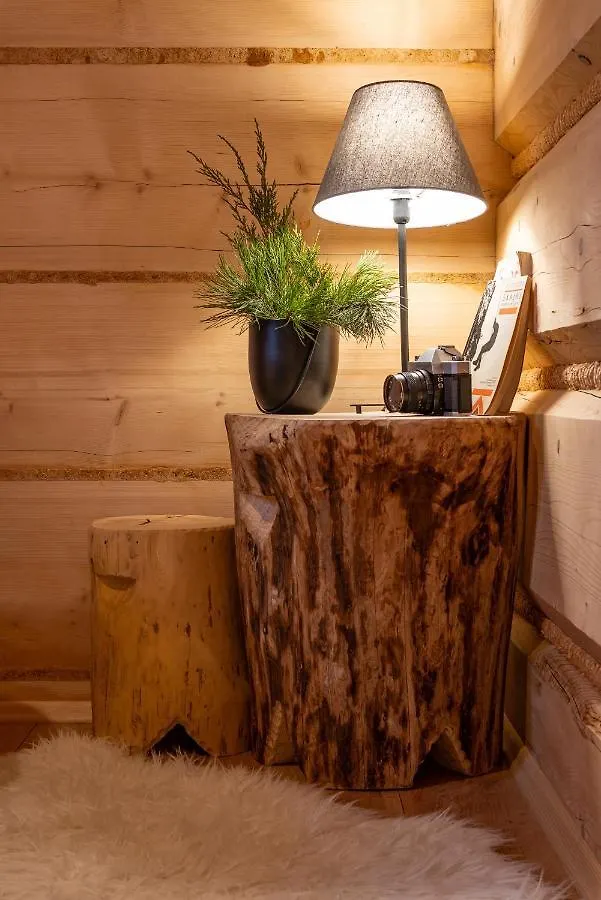 Apartamenty Willa Olsza Wood House & Mountain View & Sauna Zakopane