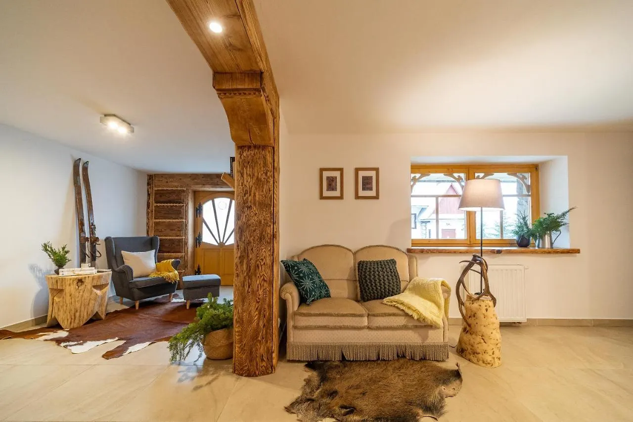 Apartamenty Willa Olsza Wood House & Mountain View & Sauna Apartment Zakopane