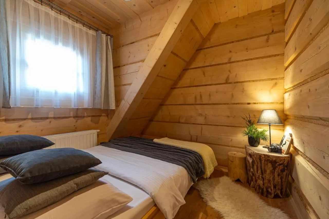 Apartment Apartamenty Willa Olsza Wood House & Mountain View & Sauna