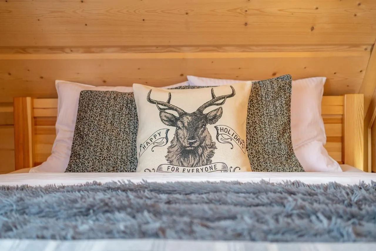 Apartamenty Willa Olsza Wood House & Mountain View & Sauna Zakopane