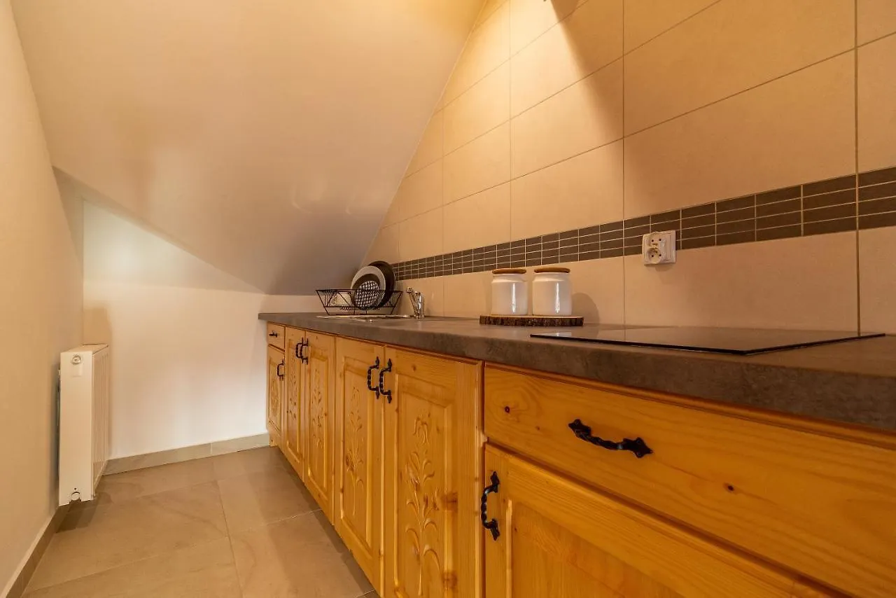 Apartment Apartamenty Willa Olsza Wood House & Mountain View & Sauna